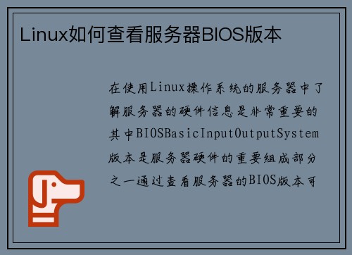 Linux如何查看服务器BIOS版本