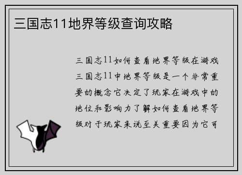 三国志11地界等级查询攻略